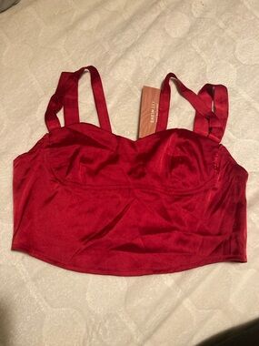 New with tags. Red Satin Crop Bustier Top